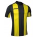 Футболка игровая Joma с желтыми и черными полосками Pisa 100403.109